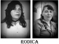 Rodica_1996-2016
